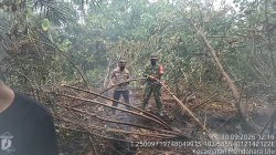 Tim Gabungan Padamkan Karhutla Lahan Gambut di Area SUTET Tanjab Timur
