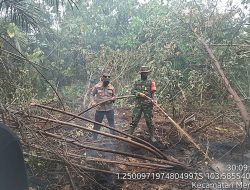 Tim Gabungan Padamkan Karhutla Lahan Gambut di Area SUTET Tanjab Timur