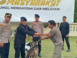Beri Bantuan Ternak, Polda Jambi Bangun Kedekatan dengan Suku Anak Dalam di Merangin